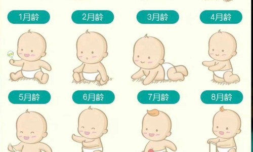 顺尔宁儿童可以吃多久-顺尔宁颗粒小孩吃多少钱一盒网 - 为你提供儿童顺尔宁副作用大吗、儿童顺尔宁副作用大吗